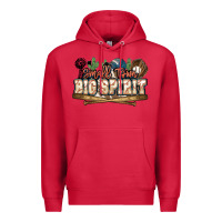 Cardinal Small town big spirit Baseball Premium Hoodie - HowdyJamesFarm