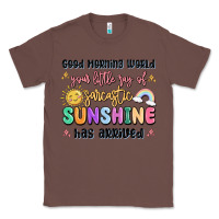 Chestnut good morning world your little ray of sarcastic Classic Tee - MaliasSmallBusiness