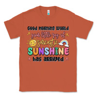 Copper good morning world your little ray of sarcastic Classic Tee - MaliasSmallBusiness