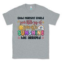 Heather Grey good morning world your little ray of sarcastic Classic Tee - MaliasSmallBusiness