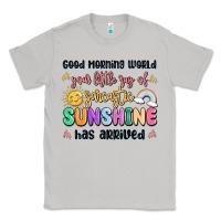 Good Morning World Your Little Ray Of Sarcastic Classic Tee | Teevron