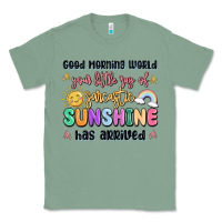 Sage good morning world your little ray of sarcastic Classic Tee - MaliasSmallBusiness