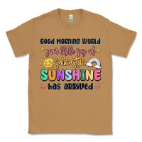 Toasted Coconut good morning world your little ray of sarcastic Classic Tee - MaliasSmallBusiness