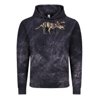 Cloud Black Triceratops Horridus Vintage Hoodie - LillyAllenDesigns