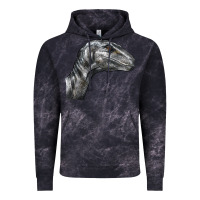 Cloud Black Velociraptor Face Vintage Hoodie - LillyAllenDesigns