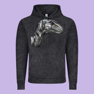 Velociraptor Face Vintage Hoodie Designed By Lillyallendesigns