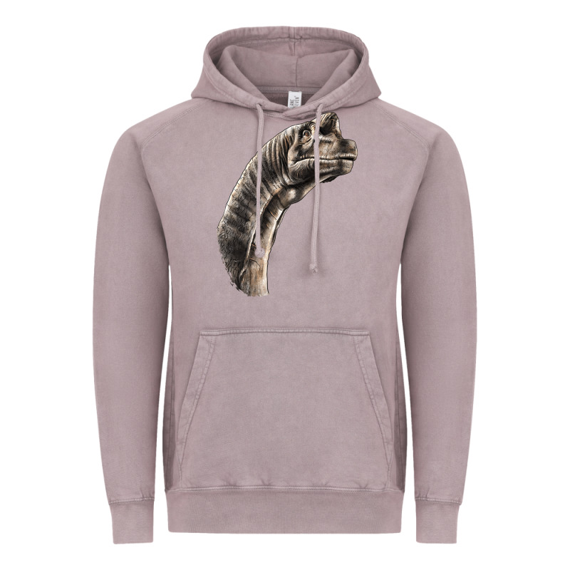 Brachiosaurus Face Vintage Hoodie by LillyAllenDesigns | Teevron