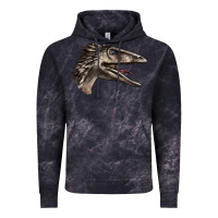 Cloud Black Deinonychus Face Vintage Hoodie - LillyAllenDesigns