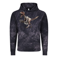 Cloud Black Deinonychus Vintage Hoodie - LillyAllenDesigns
