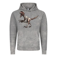 Cloud Rock Deinonychus Vintage Hoodie - LillyAllenDesigns