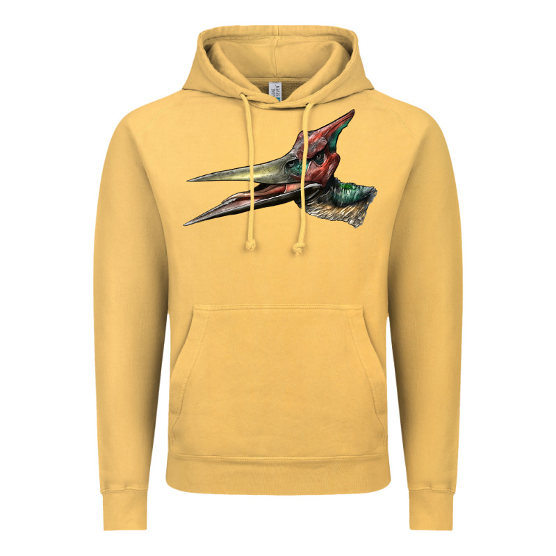 Pteranodon Face Vintage Hoodie by LillyAllenDesigns | Teevron