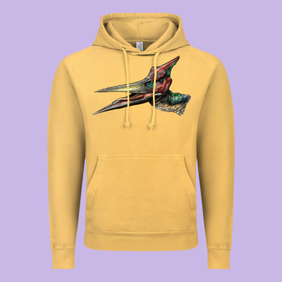 Pteranodon Face Vintage Hoodie Designed By Lillyallendesigns
