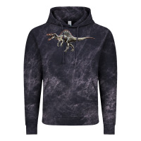 Cloud Black Spinosaurus Vintage Hoodie - LillyAllenDesigns