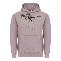 Vintage Zinc Spinosaurus Vintage Hoodie - LillyAllenDesigns