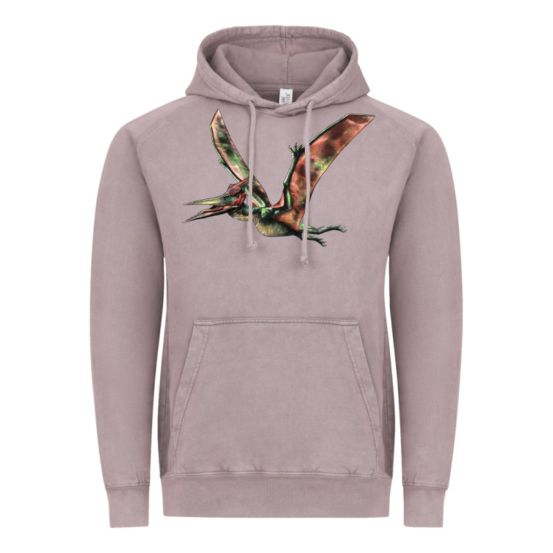 Pteranodon Vintage Hoodie by LillyAllenDesigns | Teevron