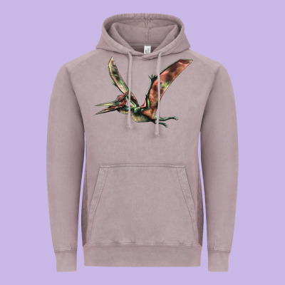 Pteranodon Vintage Hoodie Designed By Lillyallendesigns