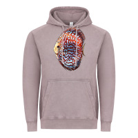 Vintage Zinc Discus Fish Vintage Hoodie - LillyAllenDesigns