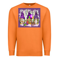 Carrot Mardi Gras carnival with gnomies tumbler Premium Sweatshirt - HowdyJamesFarm