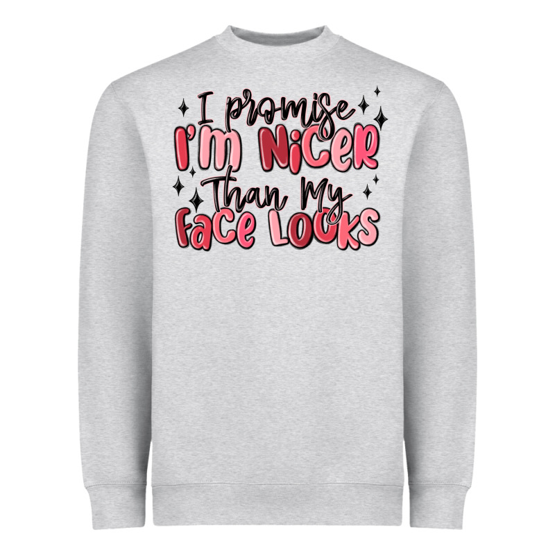 I Promise I'm Nicer Than My Face Looks Heavyweight Sweatshirt by MaliasSmallBusiness | Teevron