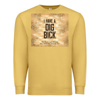 Antique Gold sarcastic funny i have a dig bick Premium Sweatshirt - TumblerDesignByShophia