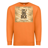 Carrot sarcastic funny i have a dig bick Premium Sweatshirt - TumblerDesignByShophia