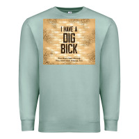 Sarcastic Funny I Have A Dig Bick Premium Sweatshirt | Teevron