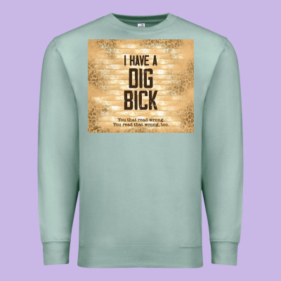 Sarcastic Funny I Have A Dig Bick Premium Sweatshirt Designed By Tumblerdesignbyshophia