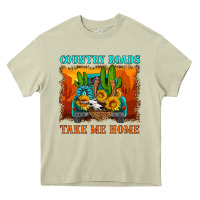 Mossy country roads take me home Heavy Core Tee - HRA Design Shop