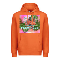 Carrot just a girl who loves flamingo Premium Hoodie - TumblerDesignByShophia