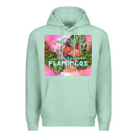 Seafoam just a girl who loves flamingo Premium Hoodie - TumblerDesignByShophia