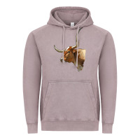 Vintage Zinc Texas Longhorn Cow Face Vintage Hoodie - LillyAllenDesigns
