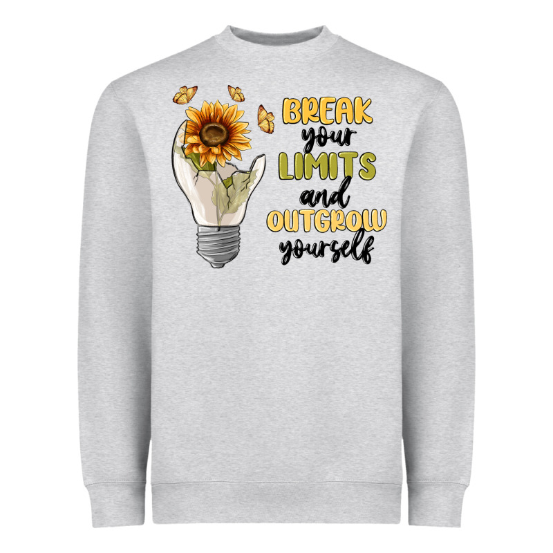 Break Your Limits Heavyweight Sweatshirt by MaliasSmallBusiness | Teevron