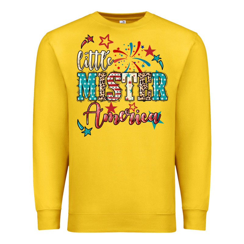 Little Mister America 4th Of July Premium Sweatshirt by HowdyJamesFarm | Teevron