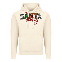Vintage Artic Santa baby Vintage Hoodie - BarkalooDesign