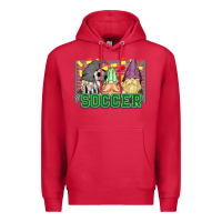 Cardinal soccer gnomies Premium Hoodie - HowdyJamesFarm