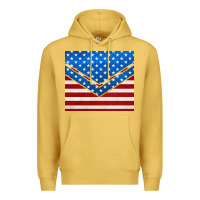 Antique Gold glitter american flag Premium Hoodie - TumblerDesignByShophia