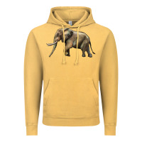 Vintage Mustard Elephant Vintage Hoodie - LillyAllenDesigns