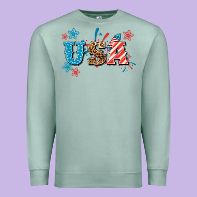 Usa 4th Of July Premium Sweatshirt Designed By Howdyjamesfarm