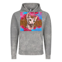 Cloud Rock Western Sphynx Cat Vintage Hoodie - LillyAllenDesigns