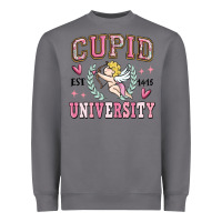 Cupid University Heavyweight Sweatshirt | Teevron