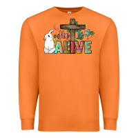 Carrot He is alive Easter Day Premium Sweatshirt - HowdyJamesFarm