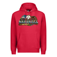 Cardinal Wild about Baseball Premium Hoodie - HowdyJamesFarm