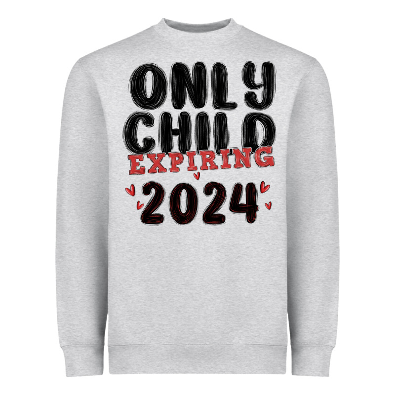Only Child Expiring 2024 Heavyweight Sweatshirt by MaliasSmallBusiness | Teevron