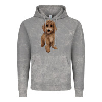 Cloud Rock maltipoo Vintage Hoodie - BarkalooDesign
