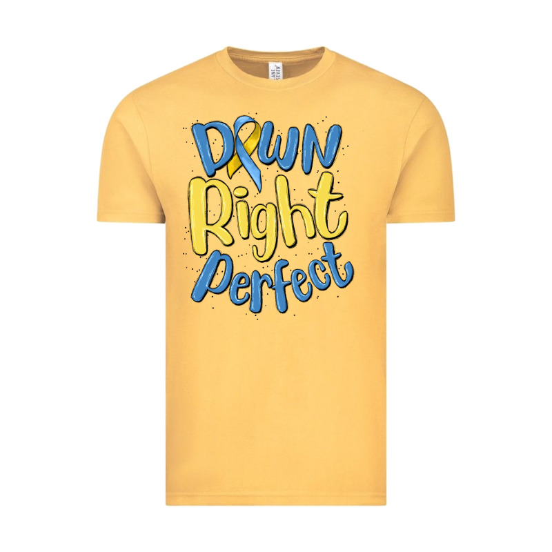Down Right Perfect Vintage Tee by MaliasSmallBusiness | Teevron