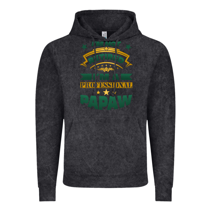 I'm Not Retired I'm A Professional Papaw Vintage Hoodie by Jasminsmagicworld | Teevron
