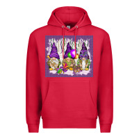 Cardinal Mardi Gras carnival with gnomies tumbler Premium Hoodie - HowdyJamesFarm