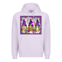Lilac Mardi Gras carnival with gnomies tumbler Premium Hoodie - HowdyJamesFarm