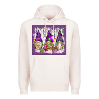 Pale Pink Mardi Gras carnival with gnomies tumbler Premium Hoodie - HowdyJamesFarm