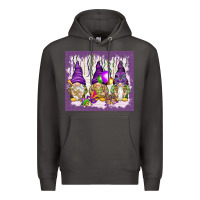 Smoke Mardi Gras carnival with gnomies tumbler Premium Hoodie - HowdyJamesFarm